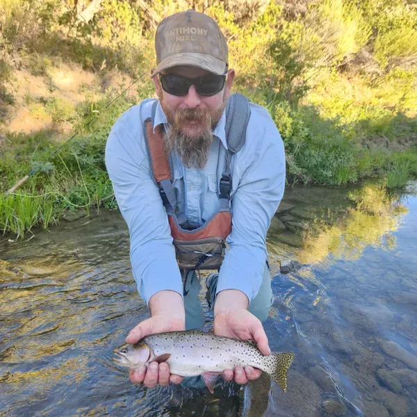 Antimony, Utah Fly Fishing Guide (Hidden Gem Spots)
